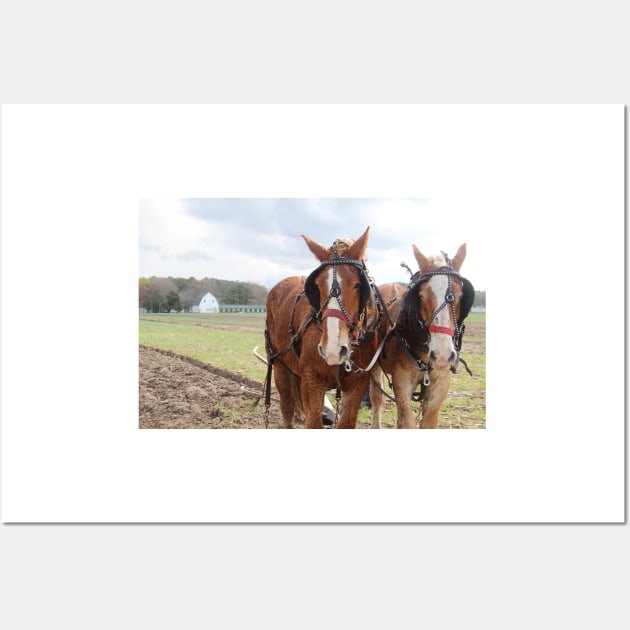 Plow Days - Mount Hermon, Maryland Wall Art by searchlight